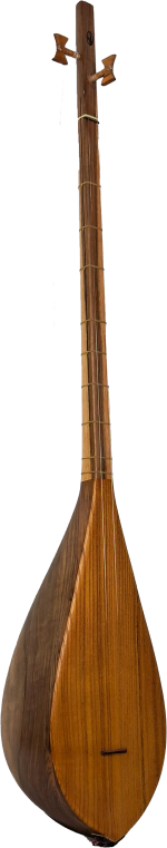 دوتار جنوب خراسان یاری